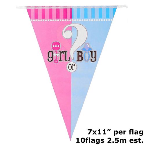 Boy or Girl Gender Reveal Props